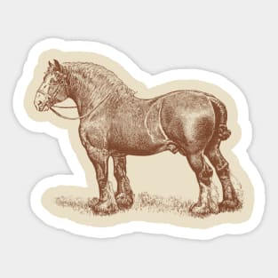 English Shire Horse Vintage Illustration Sticker